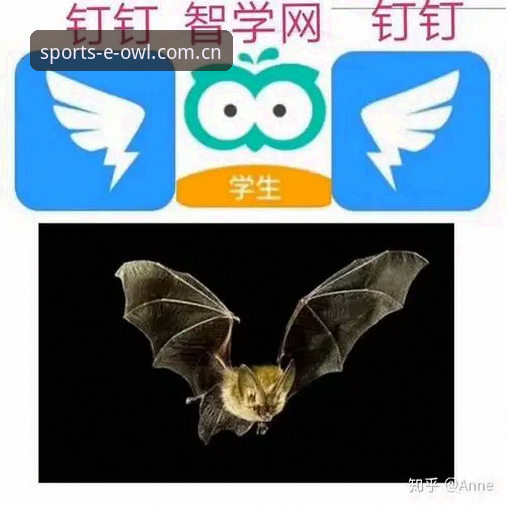 猫头鹰体育下载2026网页版实用指南：从疑问到上手的五个关键解答